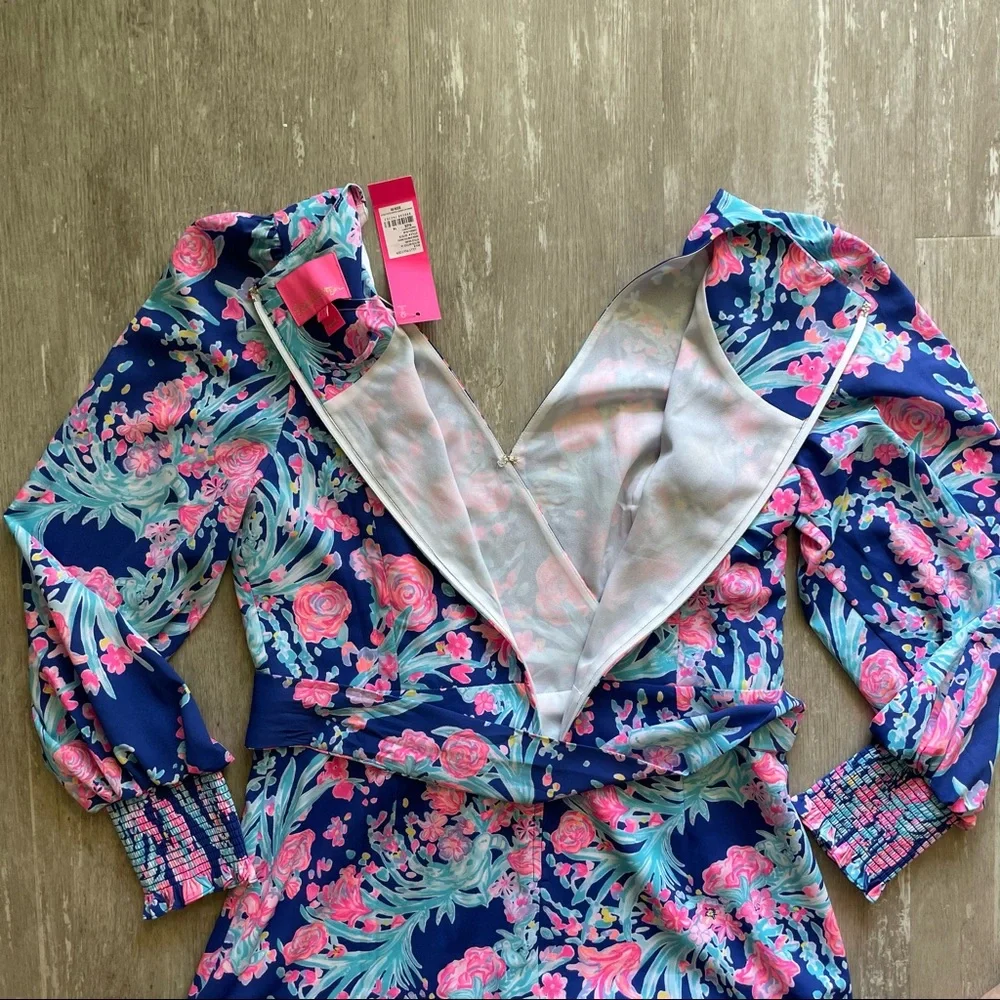 Sold Lilly Pulitzer Rosie Stretch Dress - Toucan Party - Picture 12 of 12